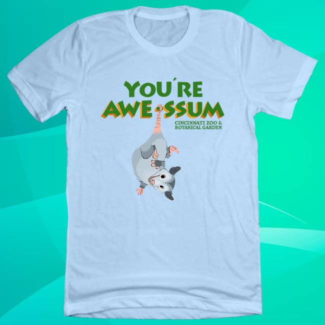 You're Awe-Ssum Possum Hoodie